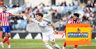 Koravip.com :